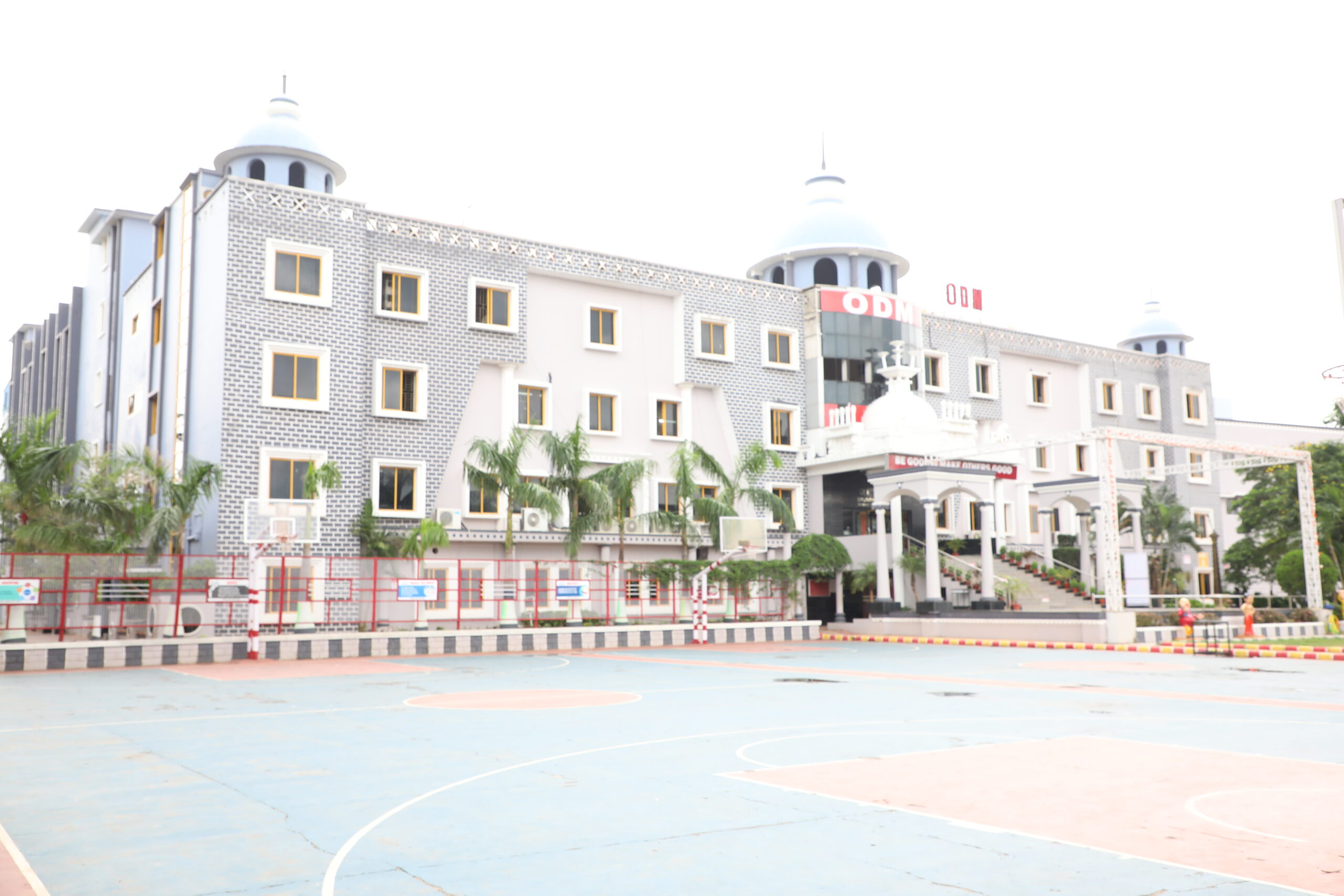 Baccarat One Piece Wiki - Top  Best University in Jaipur